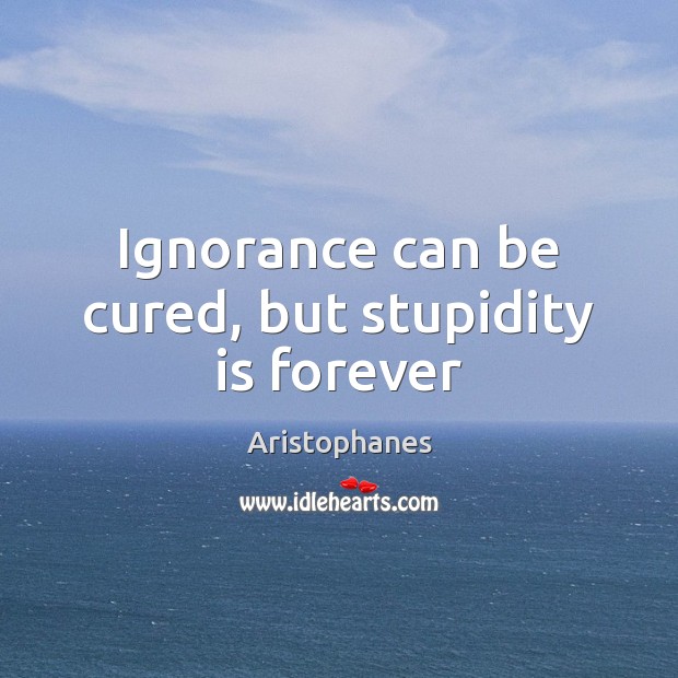 Ignorance can be cured, but stupidity is forever Aristophanes Picture Quote
