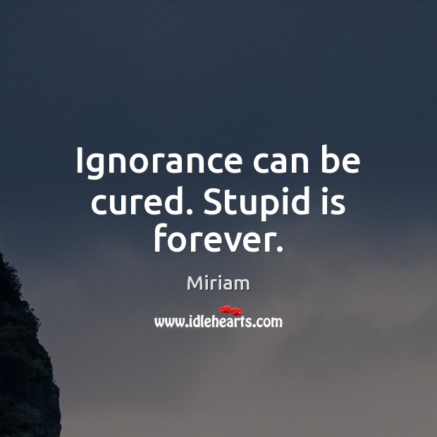 Ignorance can be cured. Stupid is forever. Miriam Picture Quote
