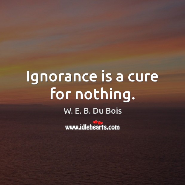 Ignorance is a cure for nothing. W. E. B. Du Bois Picture Quote