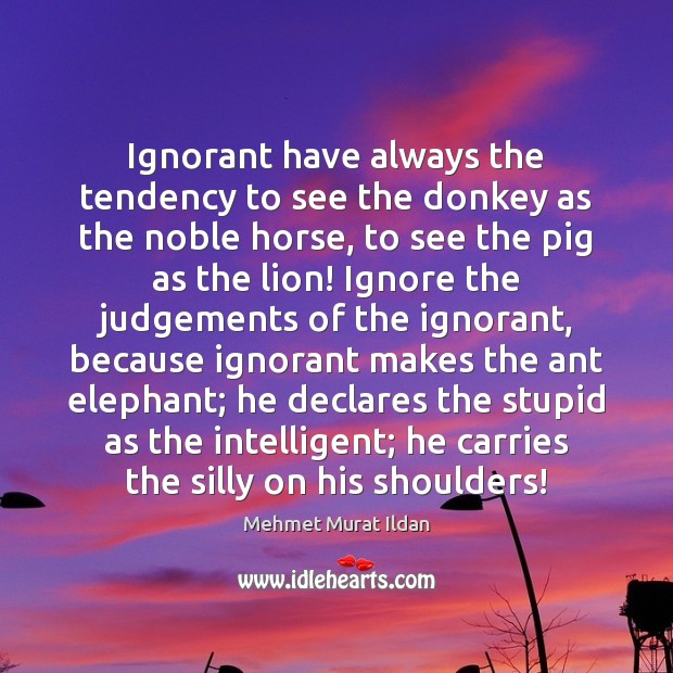 Ignorant have always the tendency to see the donkey as the noble Mehmet Murat Ildan Picture Quote