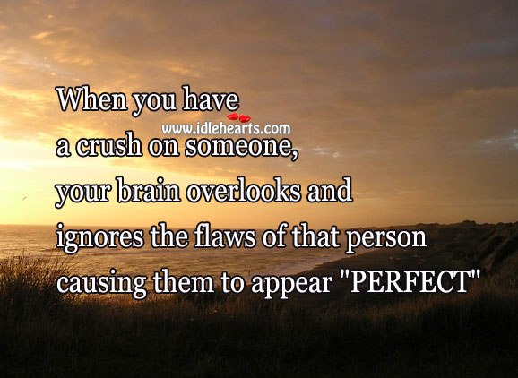 When you have a crush on someone, they appear “perfect” Image