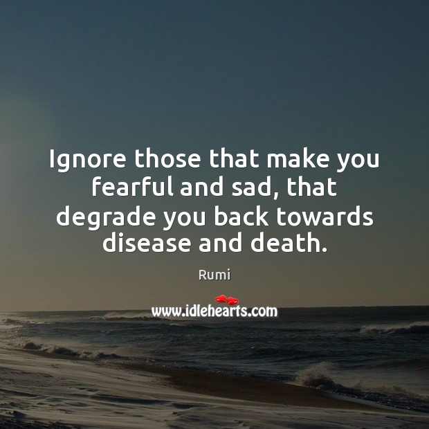 Ignore those that make you fearful and sad, that degrade you back Rumi Picture Quote
