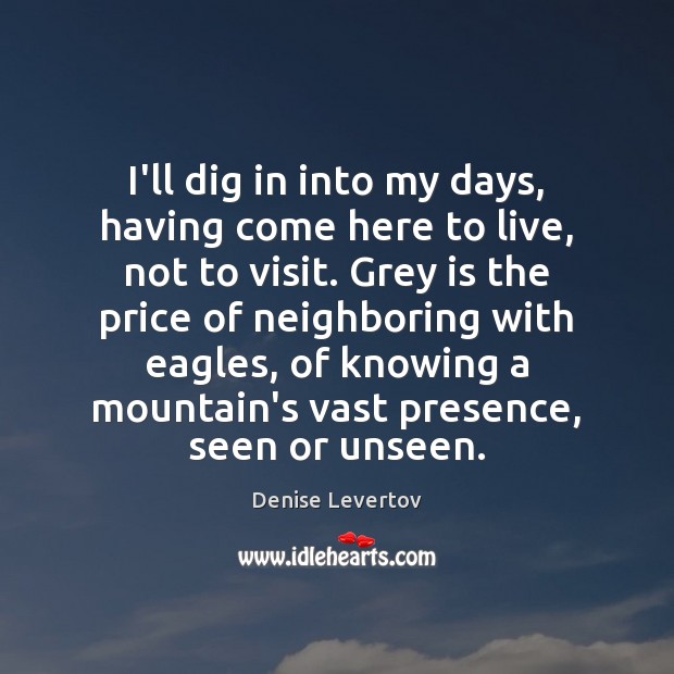 I’ll dig in into my days, having come here to live, not Denise Levertov Picture Quote
