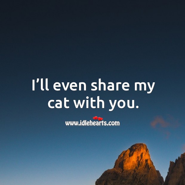 I’ll even share my cat with you. Image