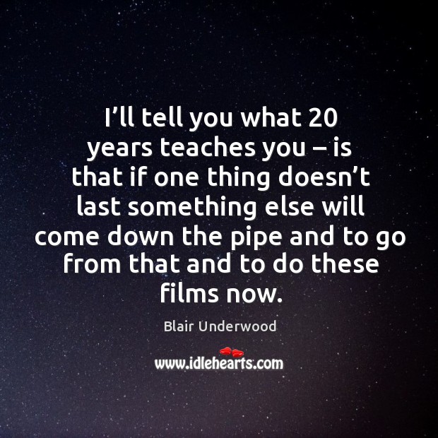 I’ll tell you what 20 years teaches you – is that if one thing doesn’t last something else Blair Underwood Picture Quote