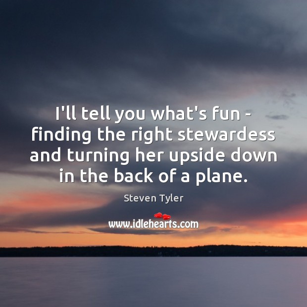 I’ll tell you what’s fun – finding the right stewardess and turning Steven Tyler Picture Quote