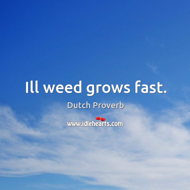 Ill weed grows fast. Image