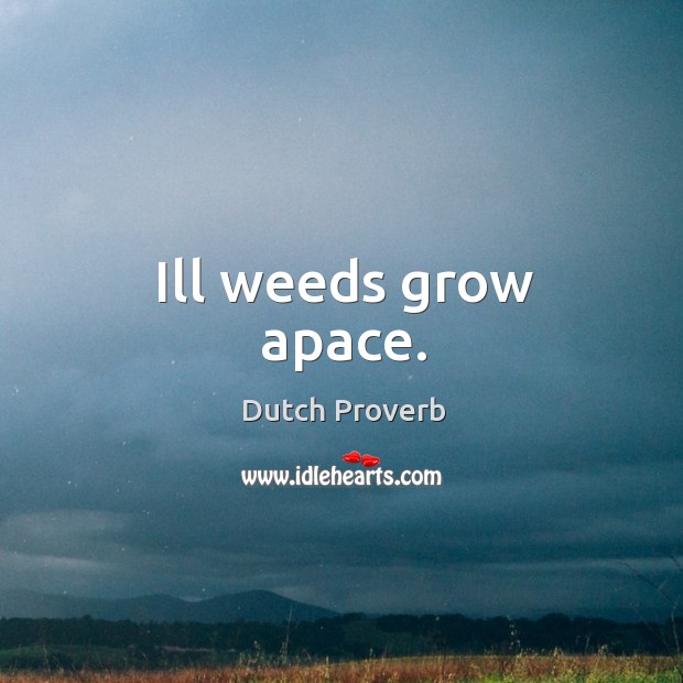 Ill weeds grow apace. Dutch Proverbs Image