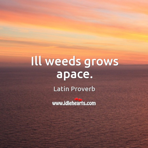 Ill weeds grows apace. Latin Proverbs Image