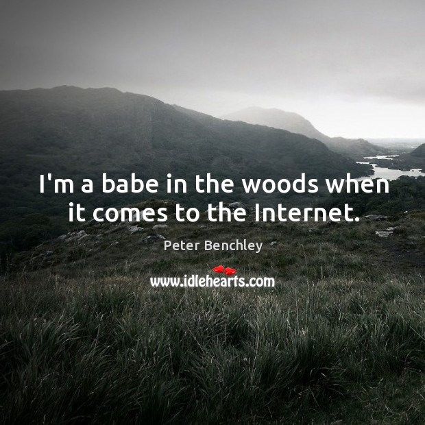 I’m a babe in the woods when it comes to the Internet. Peter Benchley Picture Quote
