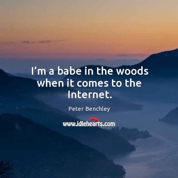 I’m a babe in the woods when it comes to the internet. Peter Benchley Picture Quote