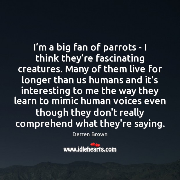 I’m a big fan of parrots – I think they’re Derren Brown Picture Quote