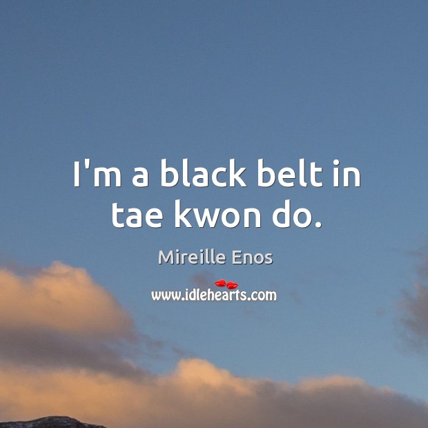 I’m a black belt in tae kwon do. Mireille Enos Picture Quote