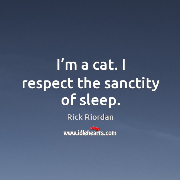 I’m a cat. I respect the sanctity of sleep. Image