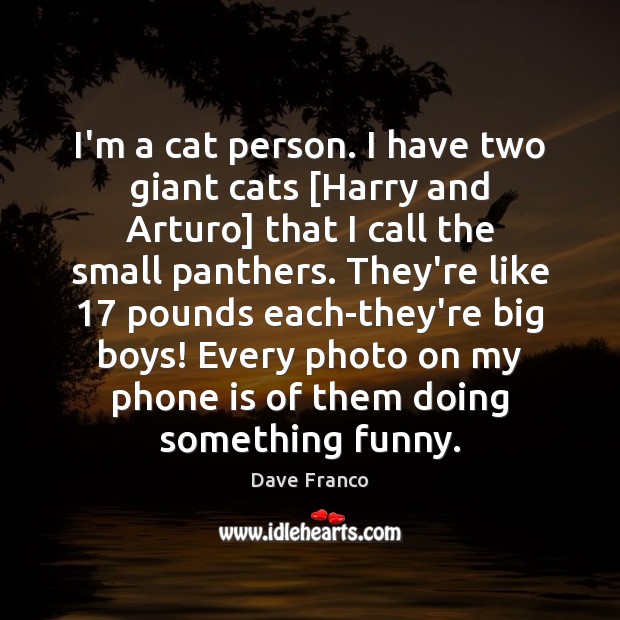 I’m a cat person. I have two giant cats [Harry and Arturo] Dave Franco Picture Quote