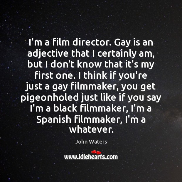 I’m a film director. Gay is an adjective that I certainly am, Image