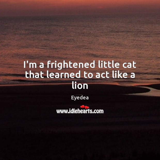 I’m a frightened little cat that learned to act like a lion Eyedea Picture Quote