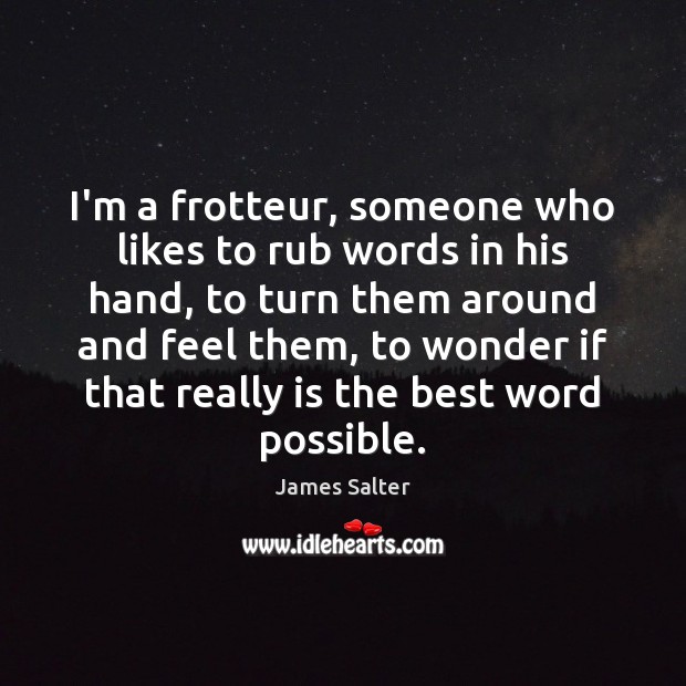 I’m a frotteur, someone who likes to rub words in his hand, James Salter Picture Quote