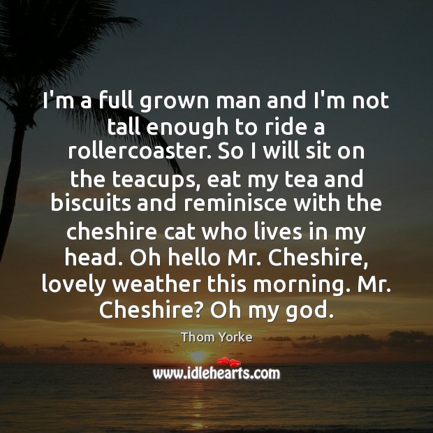 I’m a full grown man and I’m not tall enough to ride Thom Yorke Picture Quote