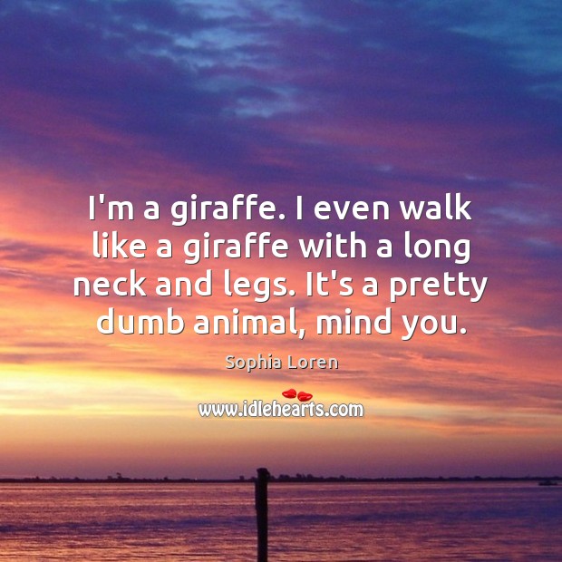 I’m a giraffe. I even walk like a giraffe with a long Sophia Loren Picture Quote