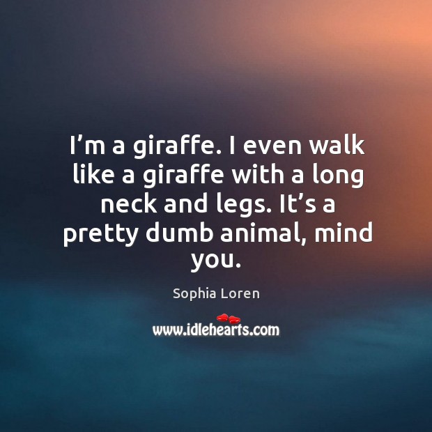 I’m a giraffe. I even walk like a giraffe with a long neck and legs. It’s a pretty dumb animal, mind you. Sophia Loren Picture Quote