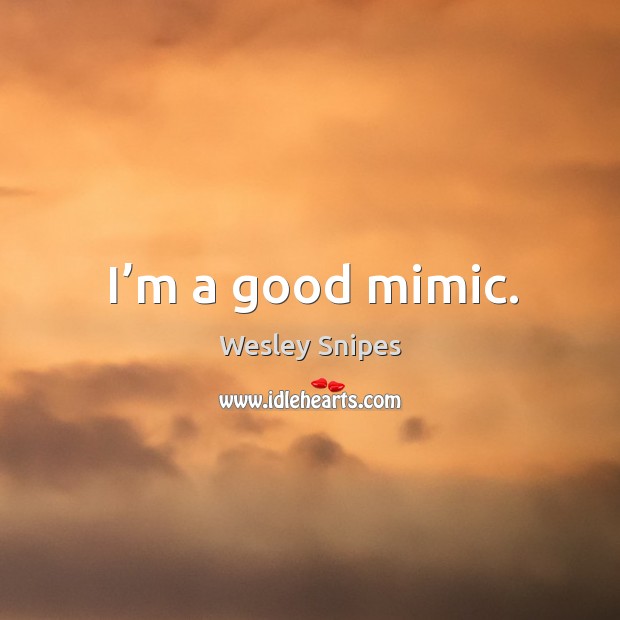 I’m a good mimic. Image