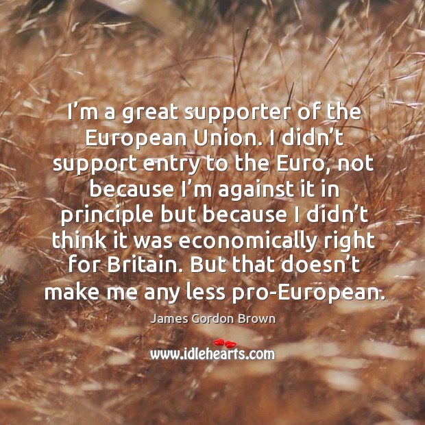 I’m a great supporter of the european union. Image