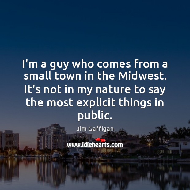 I’m a guy who comes from a small town in the Midwest. Jim Gaffigan Picture Quote