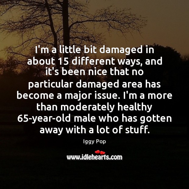 I’m a little bit damaged in about 15 different ways, and it’s been Iggy Pop Picture Quote