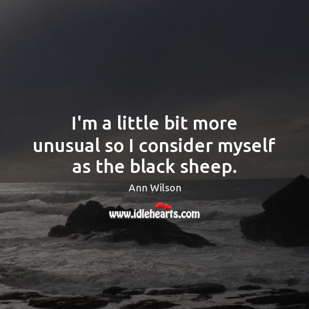 I’m a little bit more unusual so I consider myself as the black sheep. Ann Wilson Picture Quote