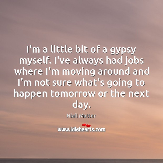 I’m a little bit of a gypsy myself. I’ve always had jobs Niall Matter Picture Quote