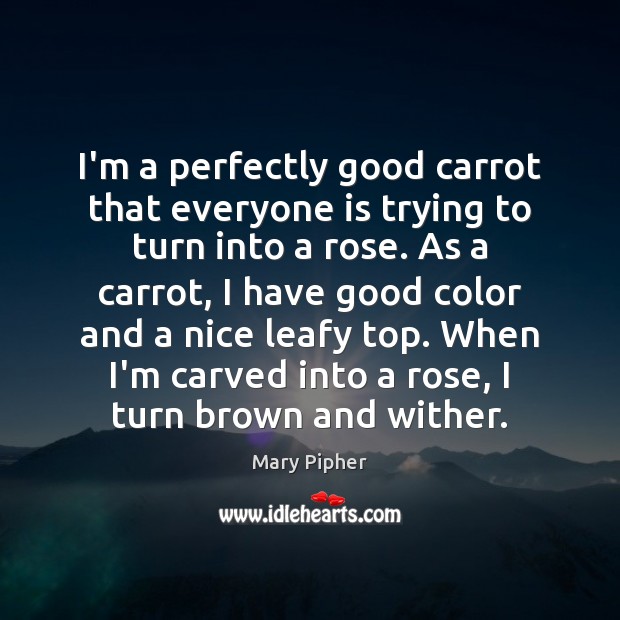 I’m a perfectly good carrot that everyone is trying to turn into 