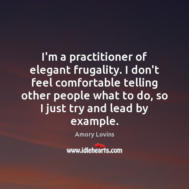 I’m a practitioner of elegant frugality. I don’t feel comfortable telling other Amory Lovins Picture Quote