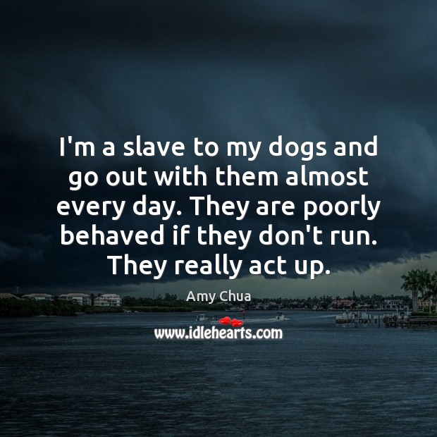 I’m a slave to my dogs and go out with them almost Amy Chua Picture Quote