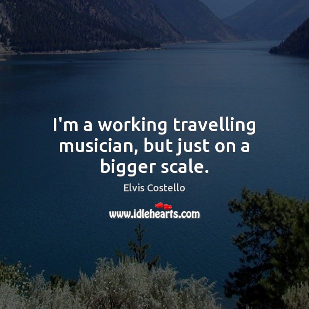 I’m a working travelling musician, but just on a bigger scale. Elvis Costello Picture Quote
