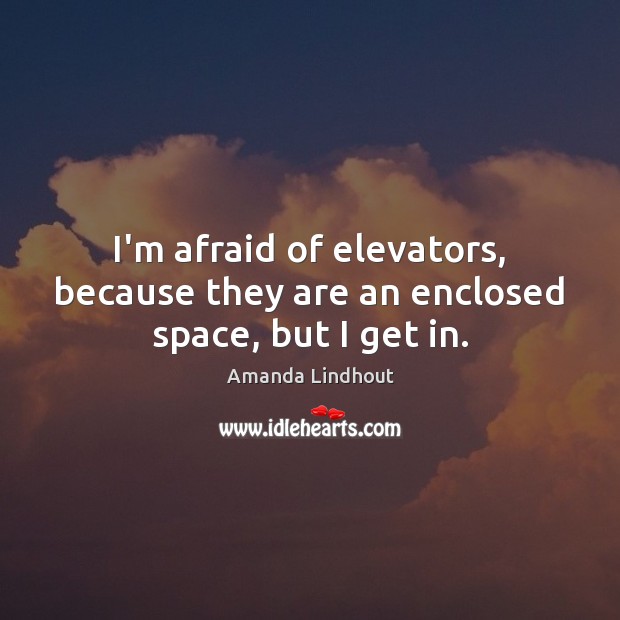 I’m afraid of elevators, because they are an enclosed space, but I get in. Amanda Lindhout Picture Quote
