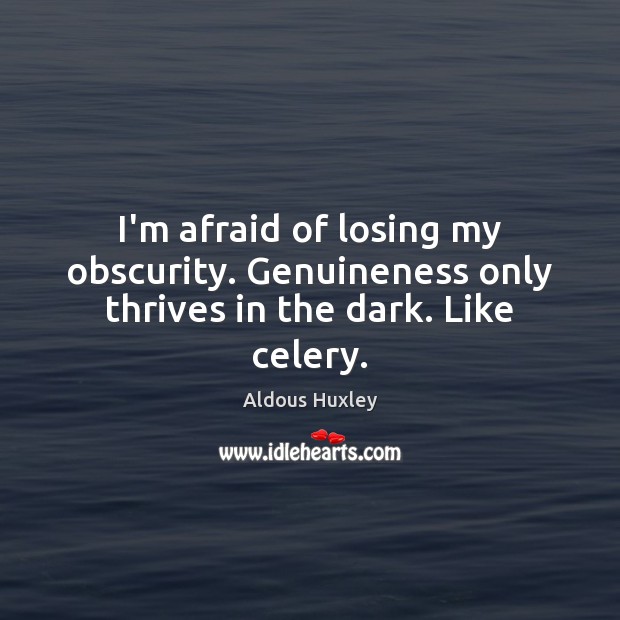 I’m afraid of losing my obscurity. Genuineness only thrives in the dark. Like celery. Image