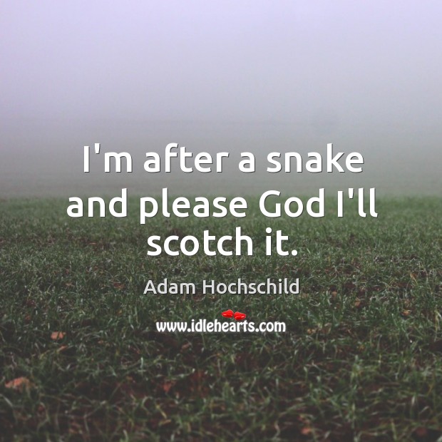 I’m after a snake and please God I’ll scotch it. Adam Hochschild Picture Quote