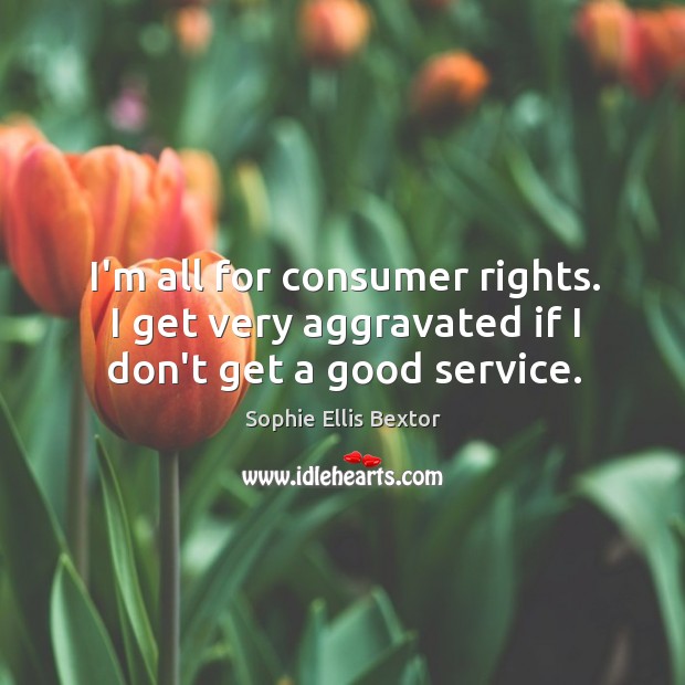 I’m all for consumer rights. I get very aggravated if I don’t get a good service. Sophie Ellis Bextor Picture Quote