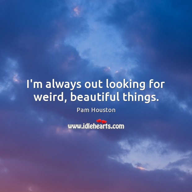 I’m always out looking for weird, beautiful things. Pam Houston Picture Quote