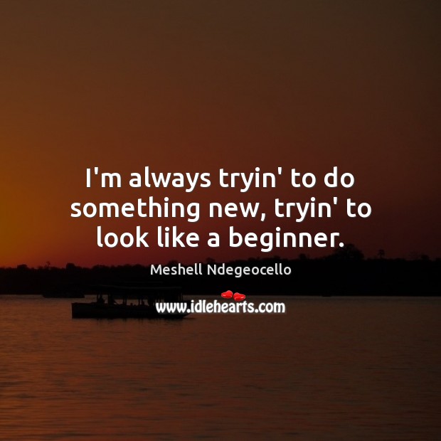 I’m always tryin’ to do something new, tryin’ to look like a beginner. Meshell Ndegeocello Picture Quote
