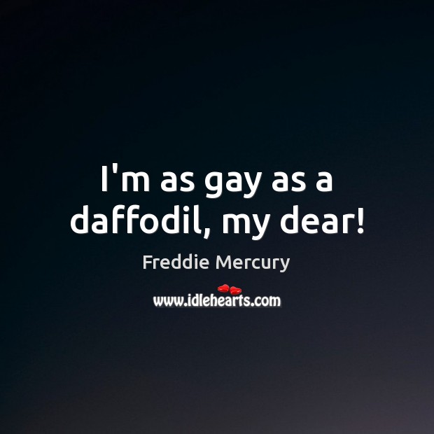 I’m as gay as a daffodil, my dear! Freddie Mercury Picture Quote