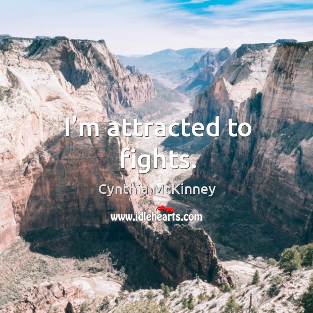 I’m attracted to fights. Cynthia McKinney Picture Quote