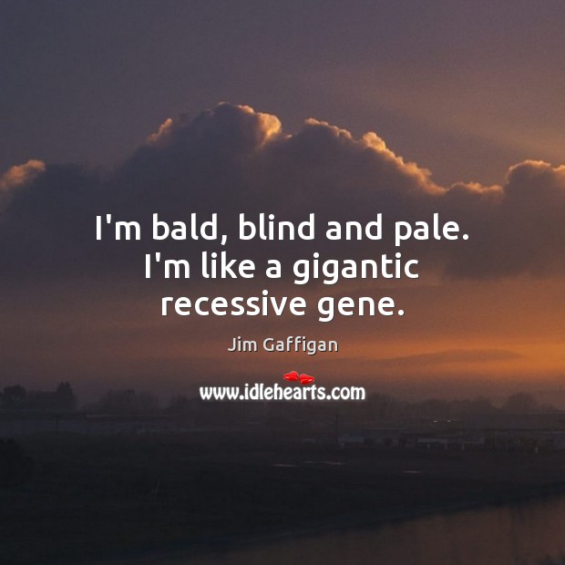 I’m bald, blind and pale. I’m like a gigantic recessive gene. Jim Gaffigan Picture Quote