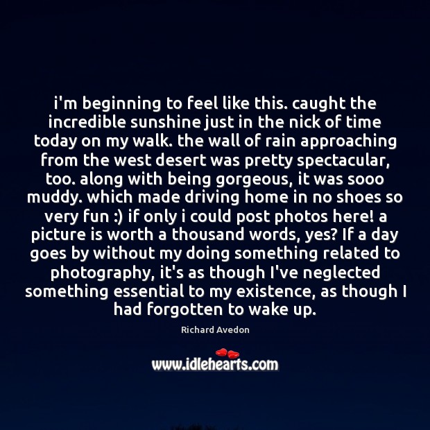 I’m beginning to feel like this. caught the incredible sunshine just in Richard Avedon Picture Quote