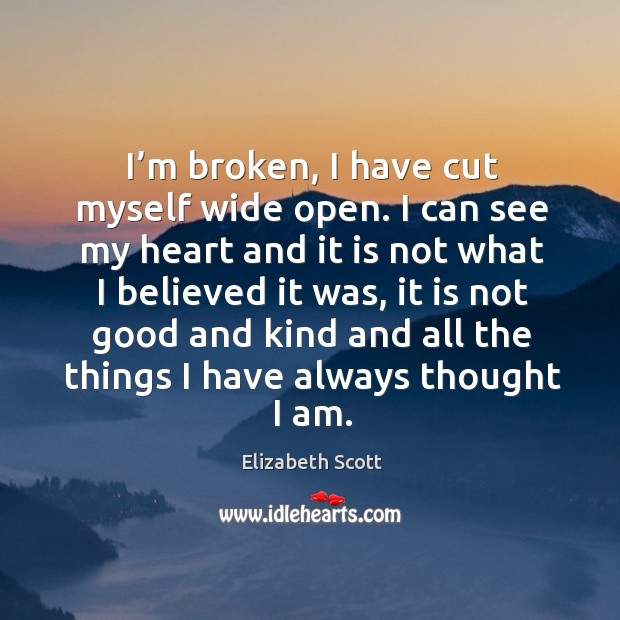 I’m broken, I have cut myself wide open. I can see Elizabeth Scott Picture Quote