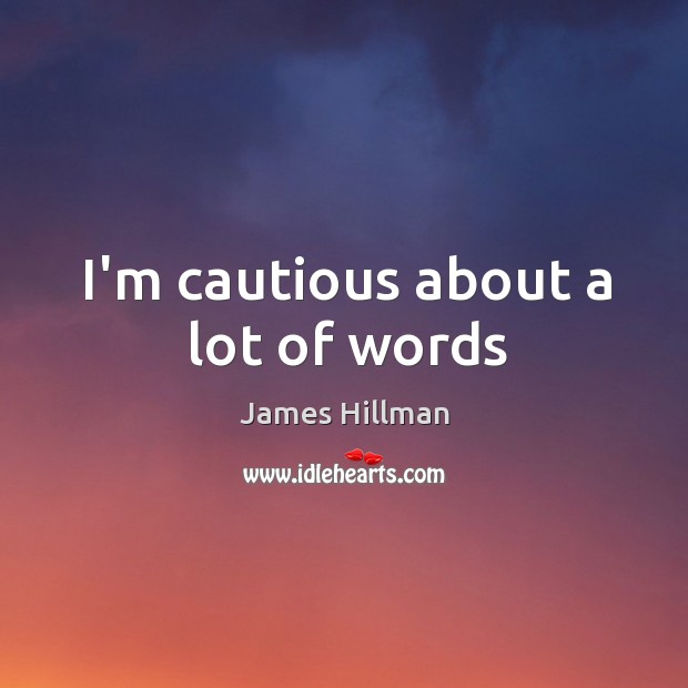 I’m cautious about a lot of words James Hillman Picture Quote