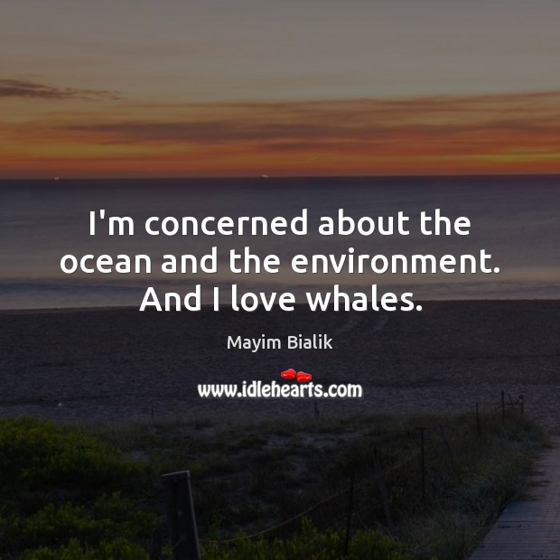 I’m concerned about the ocean and the environment. And I love whales. Mayim Bialik Picture Quote