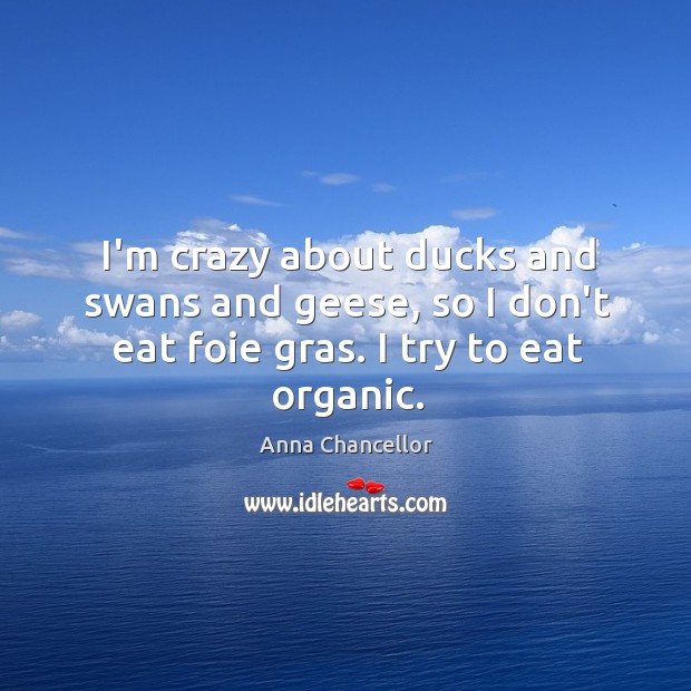 I’m crazy about ducks and swans and geese, so I don’t eat foie gras. I try to eat organic. Anna Chancellor Picture Quote