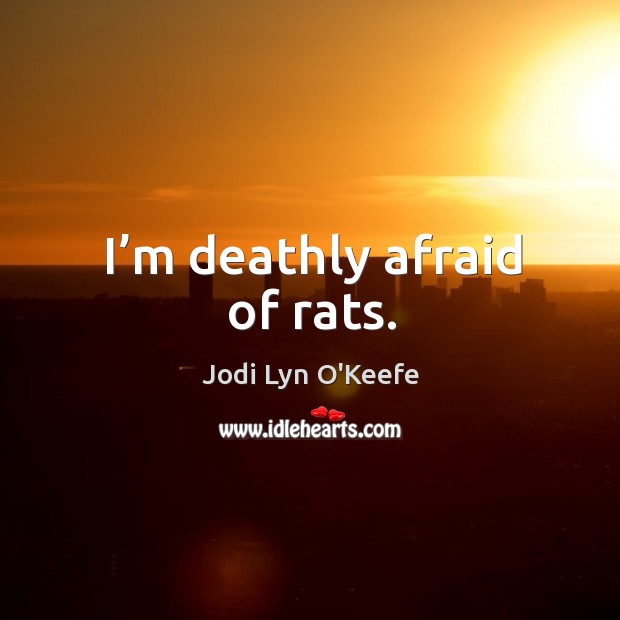 I’m deathly afraid of rats. Image